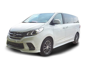 2021款上汽大通MAXUS G10 2.0T 手动智享版 汽油 7座