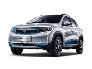 2020款风行T1 EV 豪华型