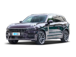 2021款领克09新能源 2.0T PHEV Pro 六座