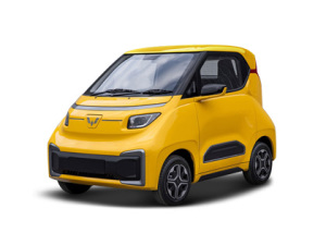 2021款五菱NanoEV 迪士尼疯狂动物城限定款