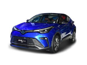 2021款奕泽IZOA 双擎 双擎 2.0L 奕炫版