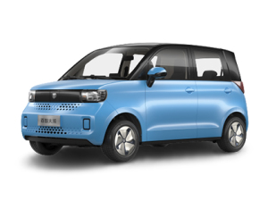 2021款百智大熊 14.5kWh 酷...