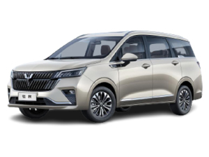 2022款五菱佳辰 1.5L 手动乐享精英型
