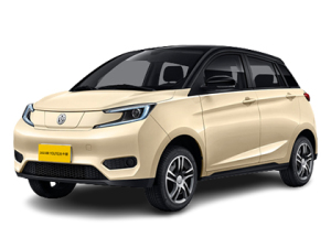 2021款YOUNG光小新 L400 4座